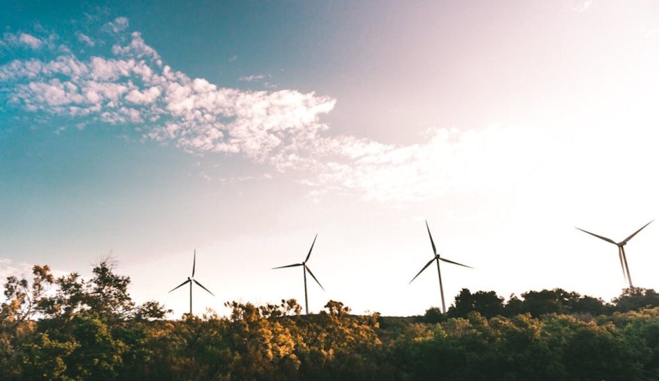 pexels-snapwire-691458